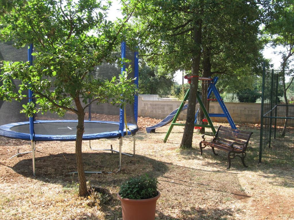 Ane Loborika
